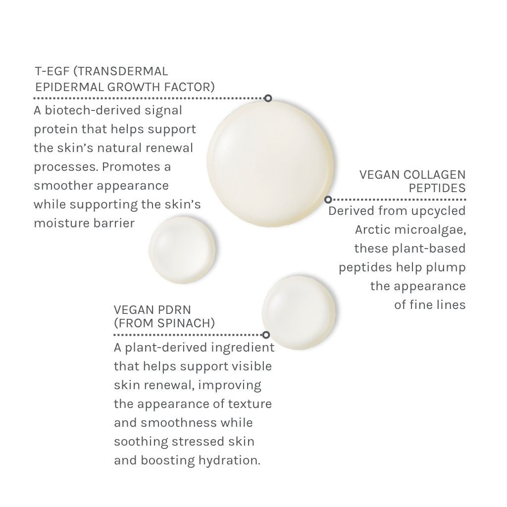 EGF + Collagen Renewal Booster