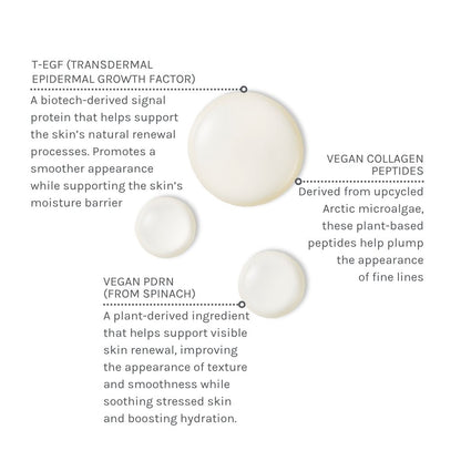 EGF + Collagen Renewal Booster